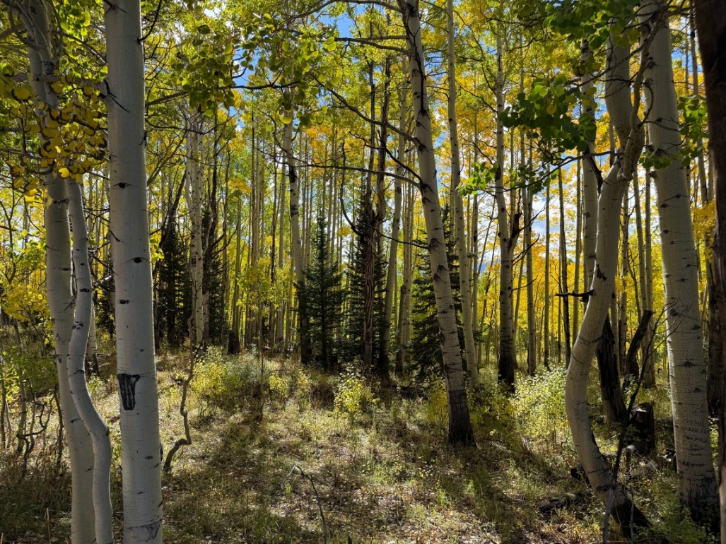 Eastern Rio Blanco County